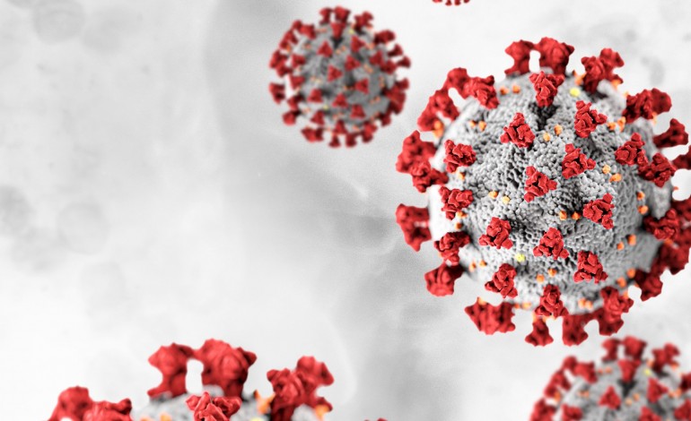 covid-19-so-marinha-grande-registou-um-novo-caso