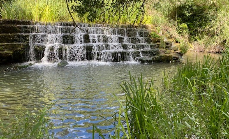 pecuaria-podera-dar-lugar-a-parque-verde-junto-ao-lena-na-batalha