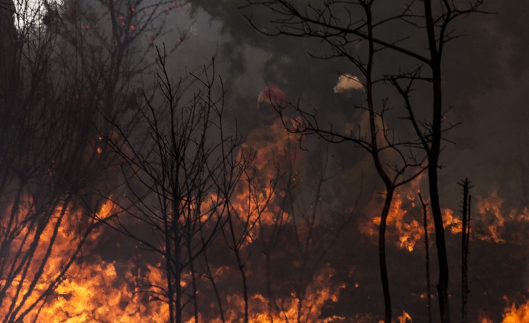 detida-mulher-de-33-anos-suspeita-de-atear-cinco-fogos-em-alvaiazere