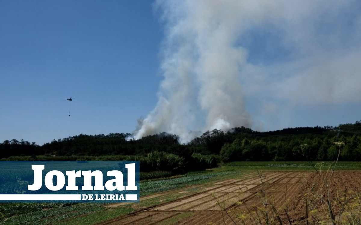 Jornal de Leiria - Fogo em Amor ainda com uma frente activa