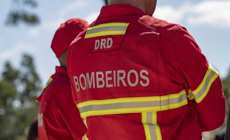 incendio-em-aviario-de-leiria-nao-provoca-vitimas
