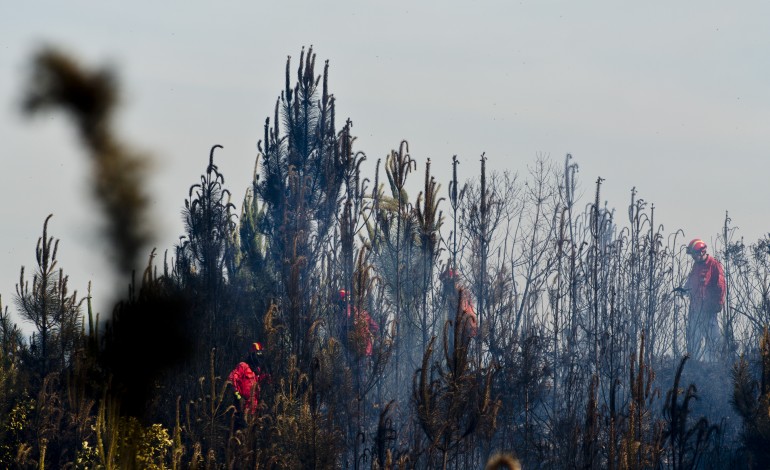 fogo-em-redinha-pombal-foi-provocado-por-trabalhos-agricolas