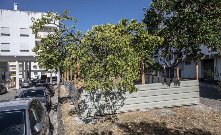 moradores-contestam-destruicao-de-zona-verde-para-construir-creche-nos-marrazes