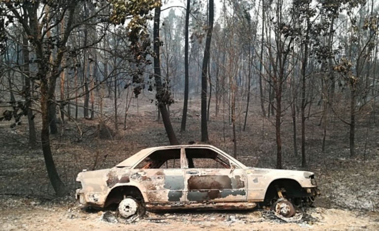 fogo-ja-dizimou-95-da-floresta-do-concelho-de-pedrogao-grande-6653