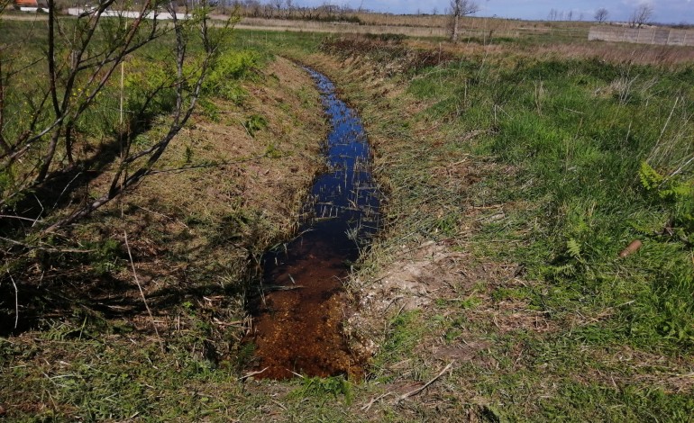 linhas-de-agua-urbanas-desobstruidas-na-marinha-grande