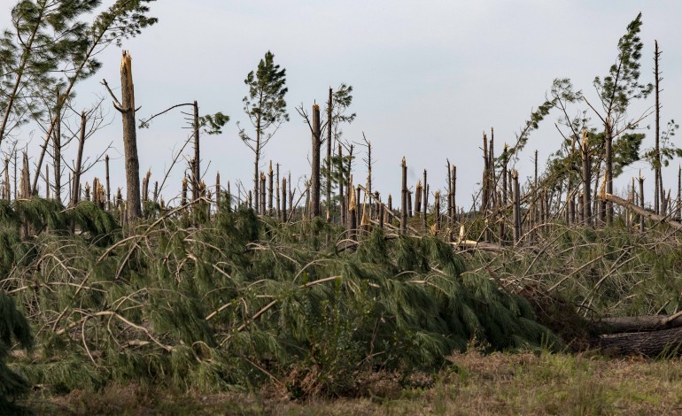 ourem-mobiliza-comunidade-escolar-para-accao-de-reflorestacao