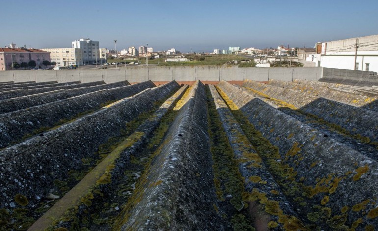 municipio-de-leiria-gasta-613-mil-euros-para-remover-amianto-em-oito-escolas