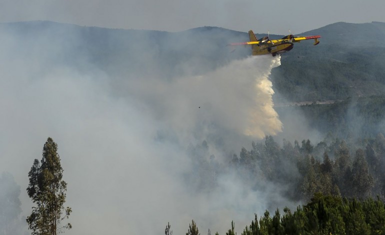 rapida-intervencao-inicial-evitaria-fogos-de-grandes-dimensoes-7431