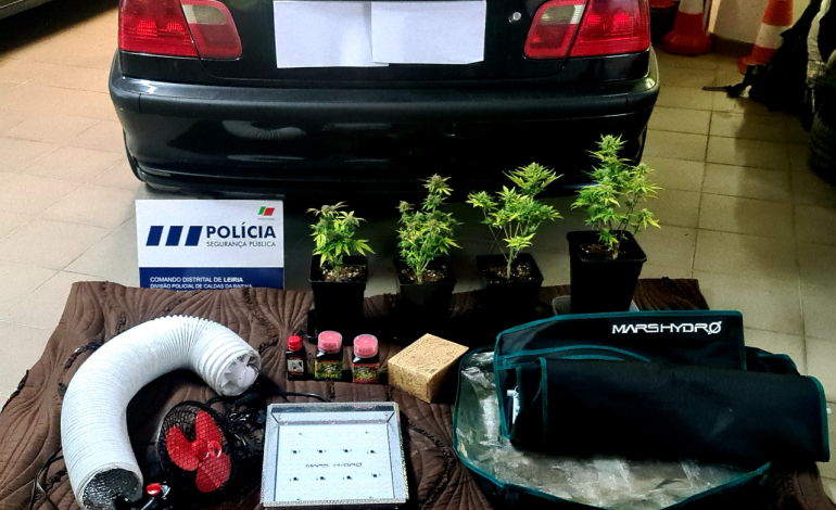 jovem-detido-por-trafico-de-droga-em-caldas-da-rainha