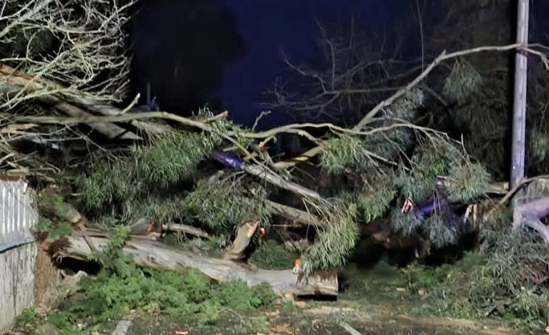 municipio-de-ourem-pede-a-populacao-que-fique-em-casa