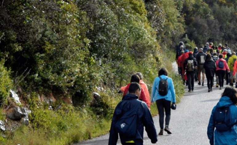 amor-assinala-prevencao-do-cancro-da-mama-com-caminhada