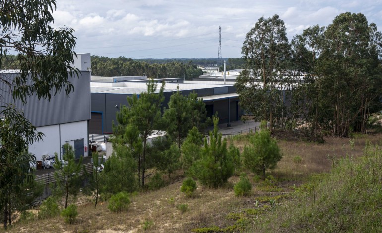 associacao-de-industriais-de-pombal-reforca-digitalizacao-das-empresas-no-periodo-pos-kristin