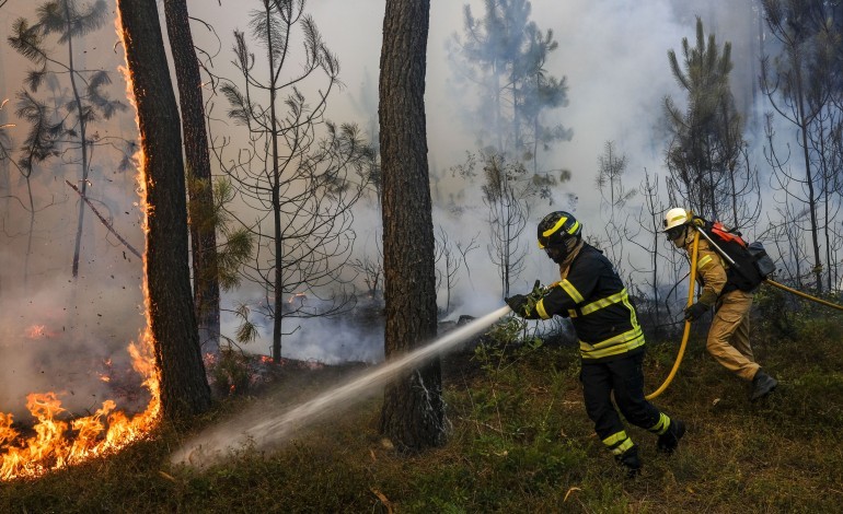 incendios-regiao-de-leiria-insiste-na-revogacao-da-carta-de-perigosidade