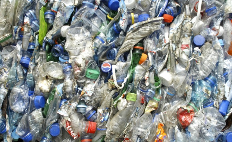 reciclagem-na-regiao-atinge-segundo-valor-mais-alto-de-sempre-9843