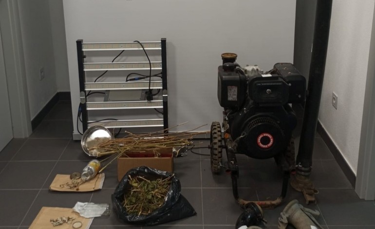 apreendidas-mais-de-150-doses-de-canabis-no-bombarral-homem-e-mulher-foram-detidos