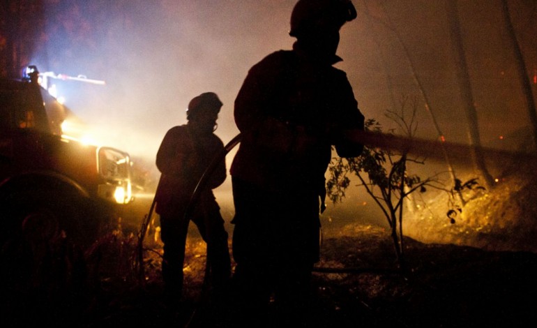 incendio-destroi-aviario-em-leiria-6228