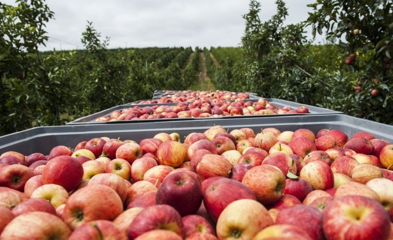 produtos-agricolas-da-regiao-vao-chegar-a-quem-mais-precisa-com-o-apoio-do-municipio