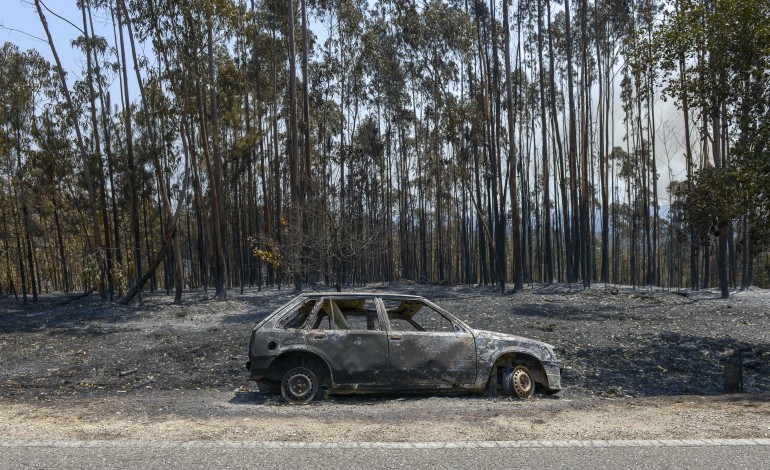 declare-os-prejuizos-com-incendios-e-candidate-se-a-reposicao-de-equipamentos-e-infra-estruturas