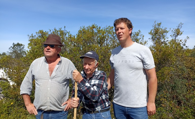 Carlos, Filipe e Luís Santos, de 60, 85 e 35 anos, são responsáveis pela gestão do rebanho