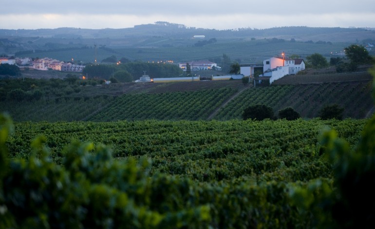 cinco-casos-de-exploracao-de-imigrantes-na-agricultura-no-distrito-de-leiria