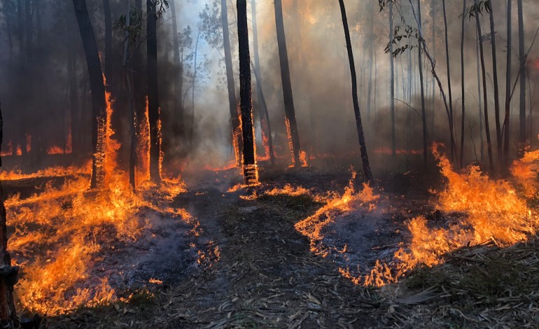 situacao-volta-a-complicar-se-no-incendio-em-ourem