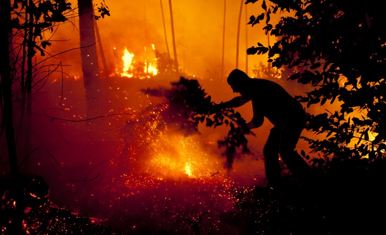 detido-presumivel-incendiario-de-incendio-em-ourem