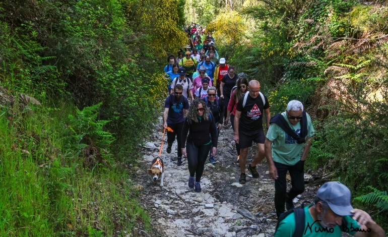 O Brisas do Lis Night Run, o Leiria Run, a Liga das Nações feminina, a Final Four da Allianz Cup e a Rede de Percursos Pedestres de Leiria estão a votos