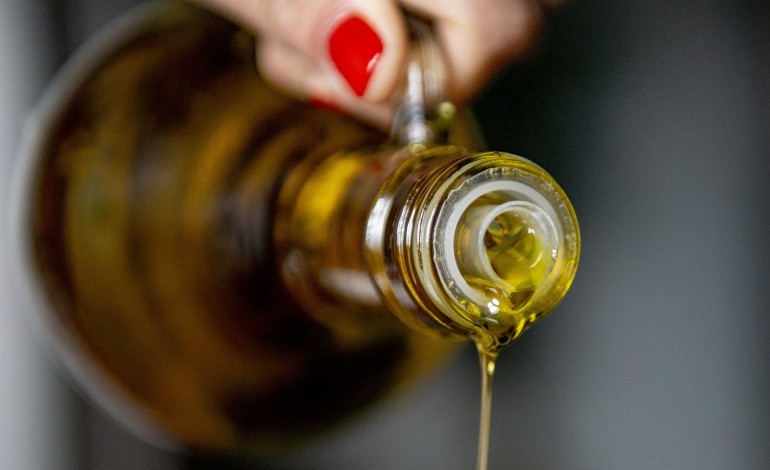 porto-de-mos-celebra-dia-mundial-da-oliveira