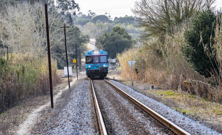 comunidade-da-regiao-de-leiria-vai-reunir-com-coimbra-e-aveiro-para-manter-prioridade-na-linha-de-alta-velocidade