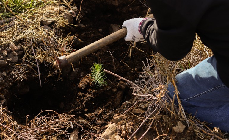 Voluntários participaram em iniciativa no fim-de-semana passado