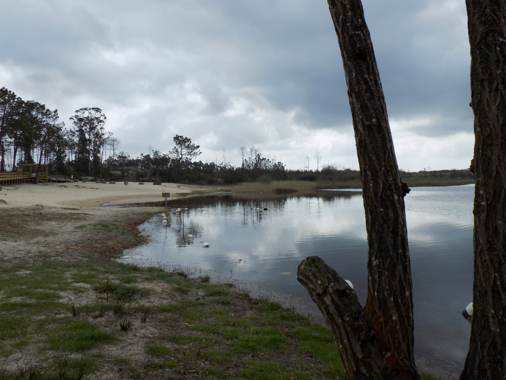 Lagoa da Ervedeira (Concelho de Leiria) Março de 2021