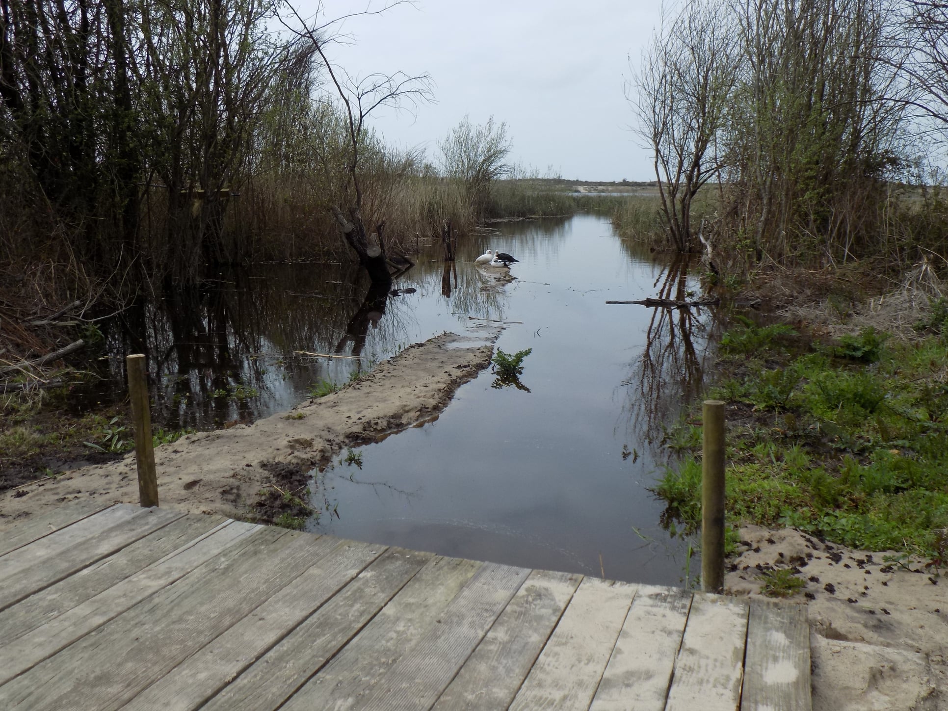 Lagoa da Ervedeira (Concelho de Leiria) Março de 2021