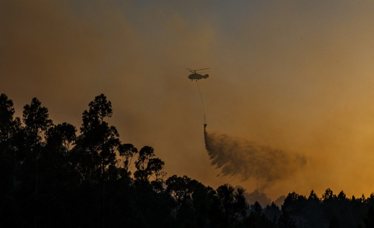 incendios-regiao-de-leiria-com-471-operacionais-113-viaturas-e-tres-meios-aereos-no-periodo-critico