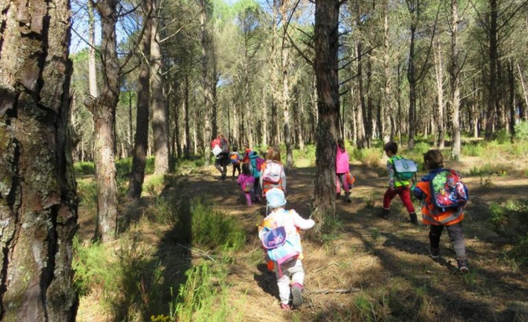 esta-a-nascer-a-escola-da-mata-e-a-sala-de-aulas-e-o-pinhal-de-leiria-9193