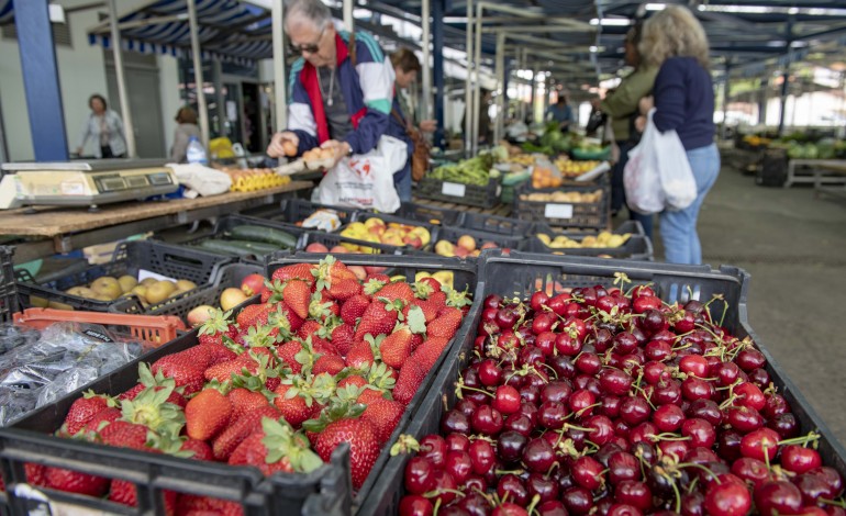 ha-mais-jovens-a-aparecer-nos-mercados-locais-e-a-cultivar-a-propria-horta