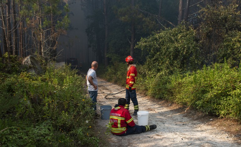 populacao-mobiliza-se-para-ajudar-os-bombeiros-saiba-como-contribuir