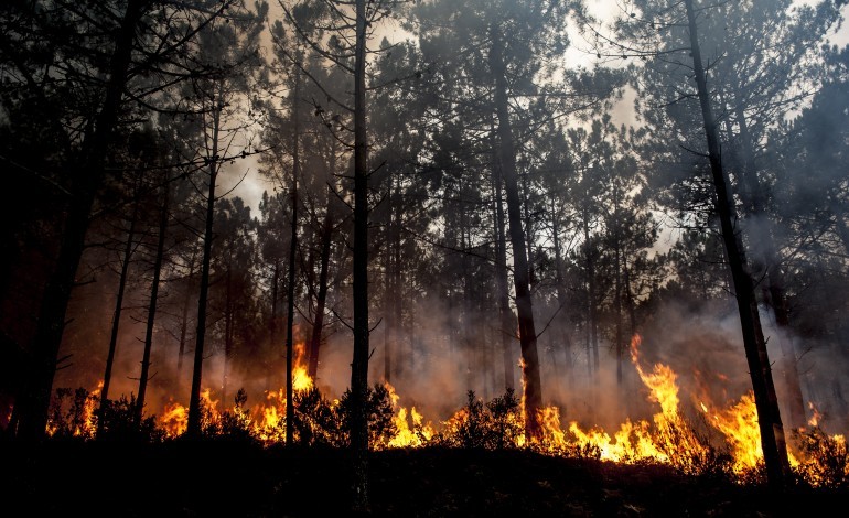 incendios-governo-declara-situacao-de-alerta-para-leiria-e-outros-13-distritos