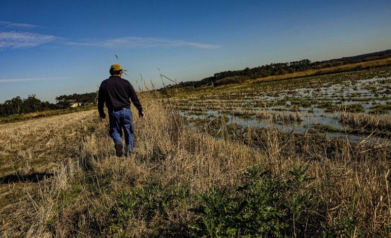 queixas-por-espalhamento-de-efluentes-em-leiria-cairam-para-metade