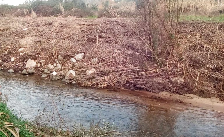 Amigos do Arunca denunciam deficientes operações de limpeza de margens do rio