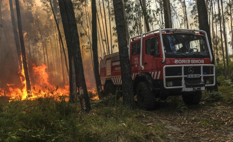 cim-da-regiao-de-leiria-lanca-concurso-de-22-me-para-novos-veiculos-florestais