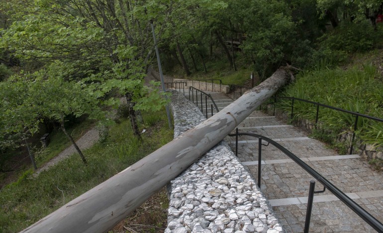 populacao-chamada-a-limpar-parque-do-pisao-que-permanece-com-zonas-bloqueadas-por-arvores-caidas