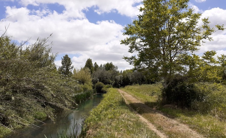 ciclovia-entre-leiria-e-marinha-grande-fica-a-espera-de-dinheiro-da-europa-para-ser-construida