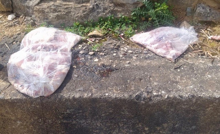 Carne ficou espalhada pelo campo