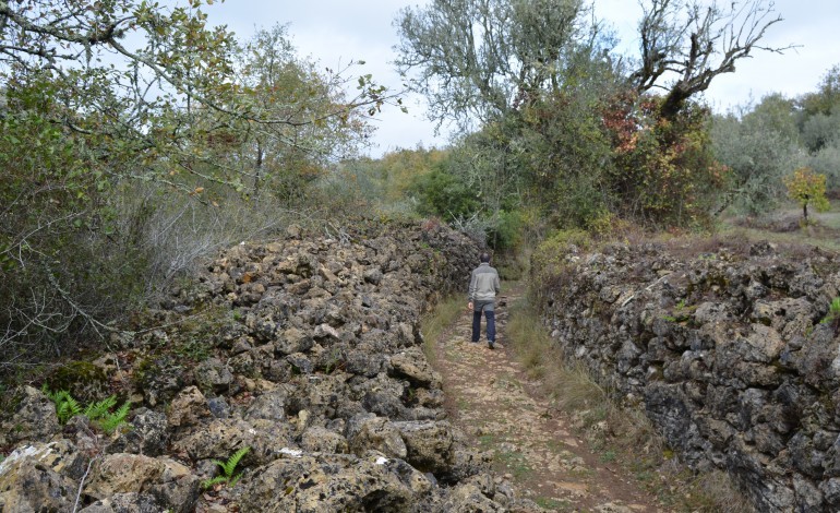 construcao-de-muros-em-pedra-seca-no-macico-calcario-de-sico-e-patrimonio-cultural-imaterial