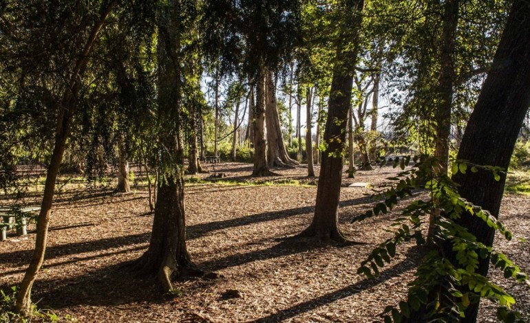 ferro-rodrigues-inaugura-esta-terca-feira-a-requalificacao-do-parque-do-tremelgo-no-pinhal-de-leiria