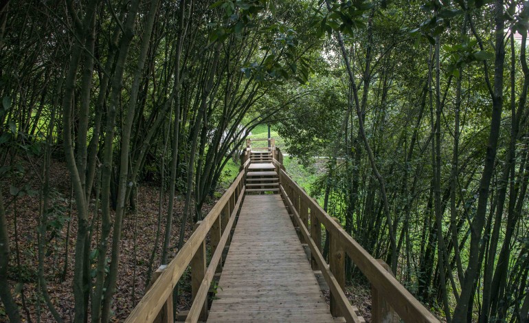 leiria-evoca-jose-mattoso-com-inauguracao-de-parque-e-forum