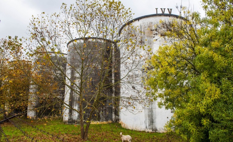 Projecto turístico é hipótese para antigo IVV da Batalha