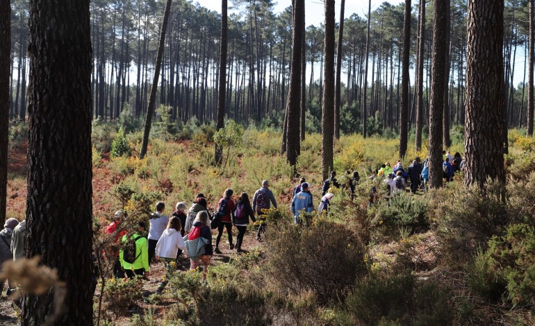 dia-25-de-janeiro-ha-rota-das-eras-a-crastinha-no-pinhal-do-rei