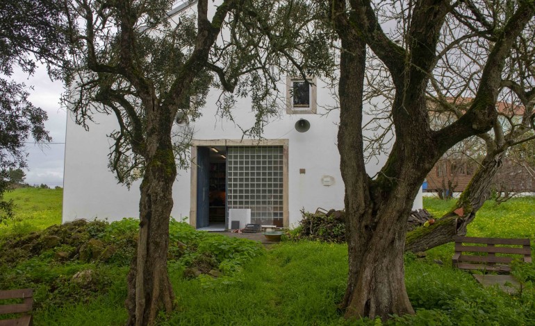 Entre o contexto rural e a arte contemporânea, há uma relação que se fortalece