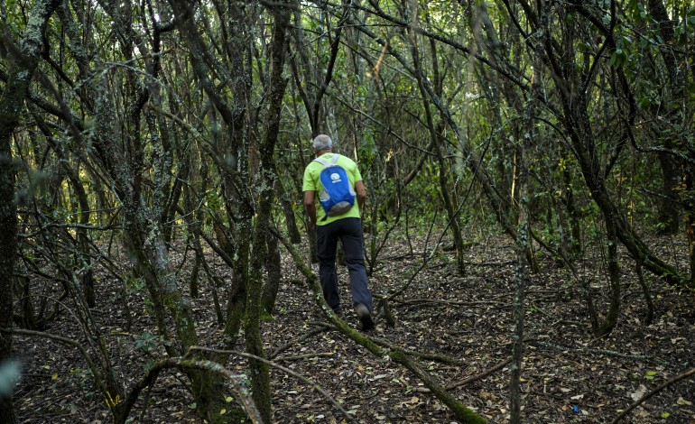 mata-da-curvachia-um-paraiso-as-portas-de-leiria